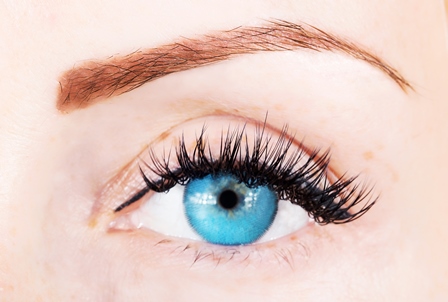 shutterstock_154714436.jpg